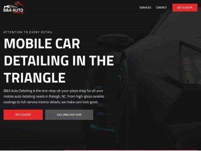 badetailing.com snapshot