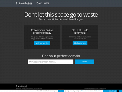 dandriclean.ie snapshot