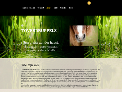 toverdruppels.be snapshot