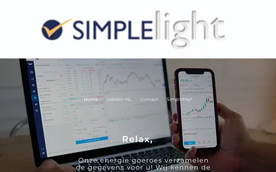 simplelight.business snapshot