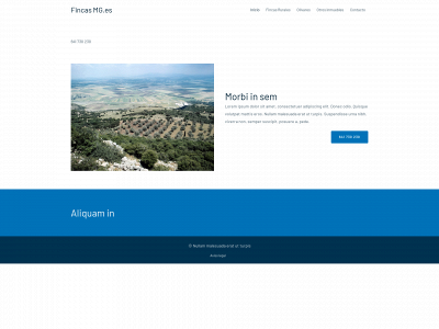 fincasmg.es snapshot