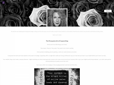 www.cpcopywriting.co.uk snapshot