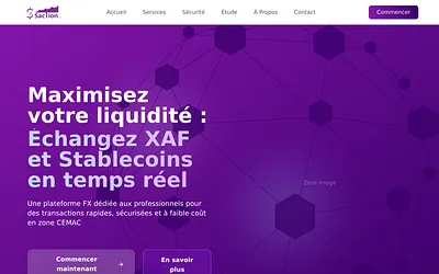 saction.net snapshot