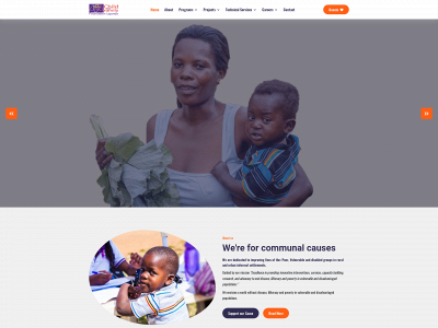 cfufoundation.org snapshot