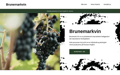 brunemarkvin.dk snapshot