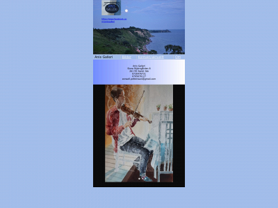 anisgalleri.se snapshot