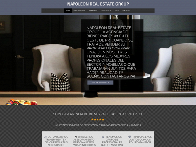napoleonrealestategroup.com snapshot