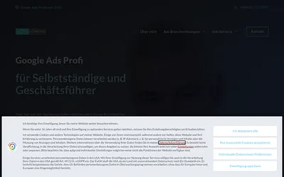 ads-profi.com snapshot