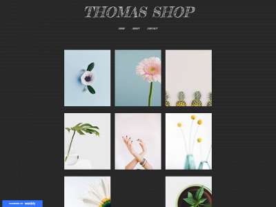 thomas1982.weebly.com snapshot