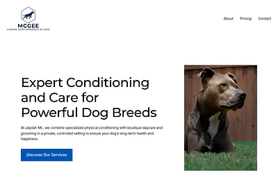 jaydahmc.com snapshot