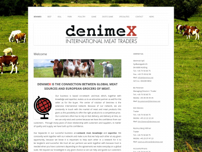 denimex.net snapshot