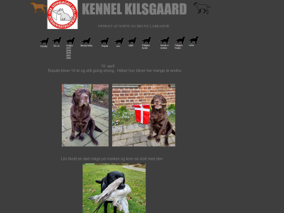 kennelkilsgaard.dk snapshot