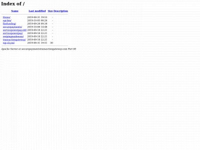 securepaymentstransactiongateway.com snapshot