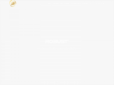 getrobust.no snapshot