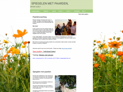 spiegelen-met-paarden.nl snapshot