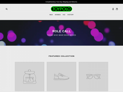 toypolo.com snapshot