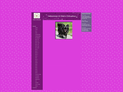 oldes-chihuahua.dk snapshot