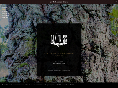 matness.se snapshot