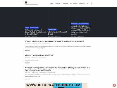 bizupdatebuddy.com snapshot
