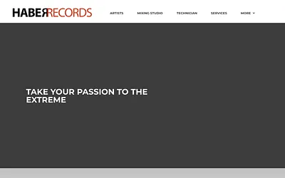 haberrecords.com snapshot