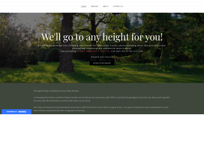 amazingtreeservices.weebly.com snapshot