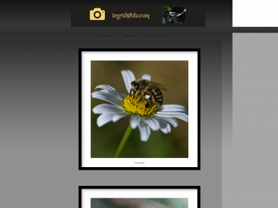ingridsfoto.com snapshot