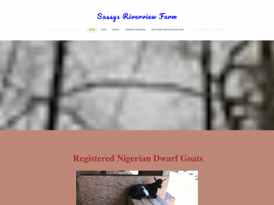 sassysriverviewfarm.weebly.com snapshot
