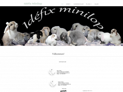 idéfix.se snapshot