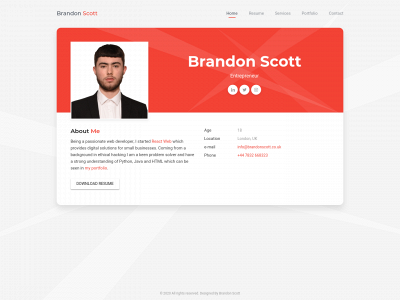 brandonscott.co.uk snapshot