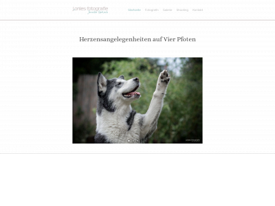 joniesfotografie.de snapshot