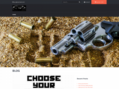 thefpsfool.com snapshot