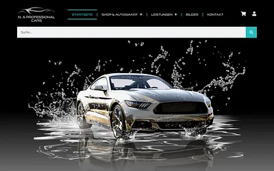 professional-cars.de snapshot