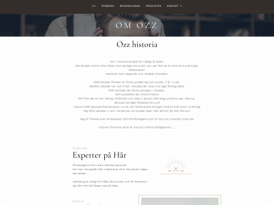 salongozz.se snapshot