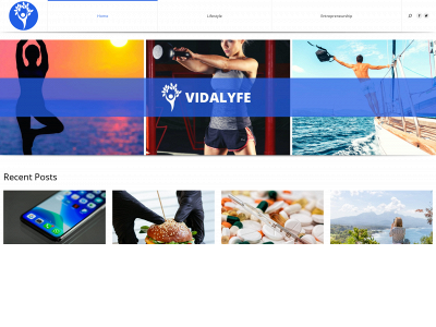 vidalyfe.com snapshot