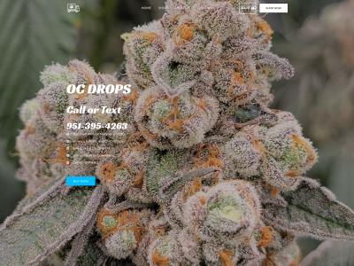 ocdrops.com snapshot