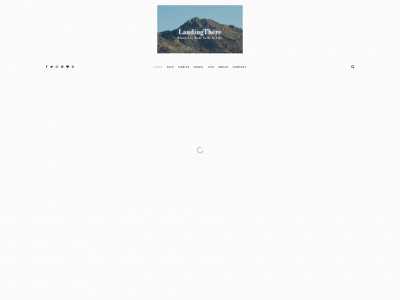 landingthere.com snapshot