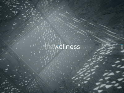 thewellness.ae snapshot