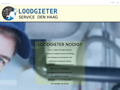 loodgieter-service-denhaag.nl snapshot