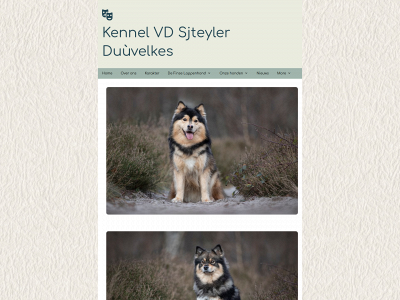 sjteylerduuvelkes.nl snapshot