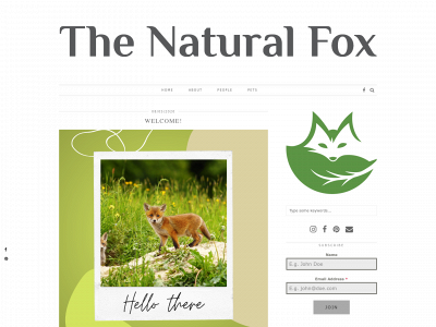 thenaturalfox.com snapshot