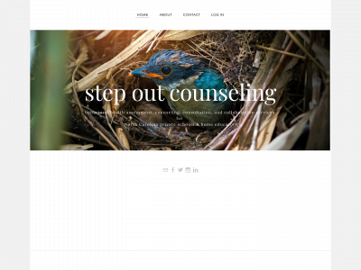 stepoutcounseling.com snapshot