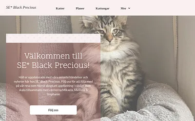 blackprecious.nu snapshot