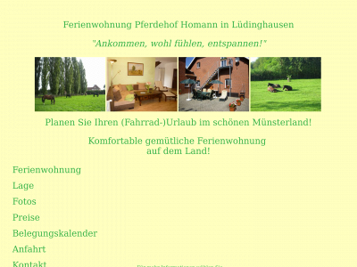 ferienwohnung-luedinghausen.de snapshot