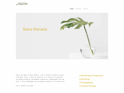 saradonato.weebly.com snapshot