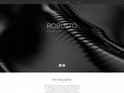 robusto.be snapshot