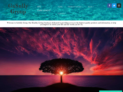 gasullygroup.com snapshot