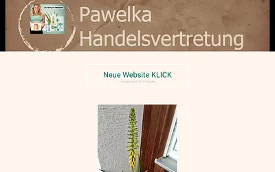 pawelka-bueroservice.one snapshot