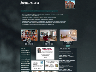 stroempehuset.dk snapshot