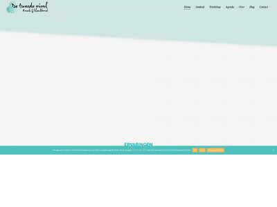detweedeviool.nl snapshot
