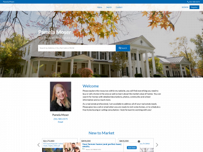 pamelamoser.valleymls.com snapshot